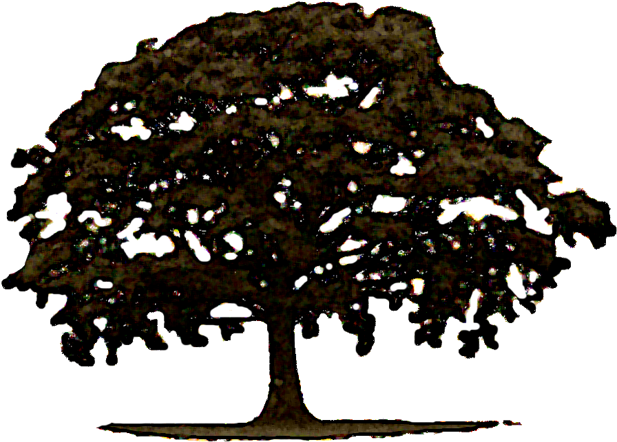 Down Victory Road - Tree (975x787), Png Download