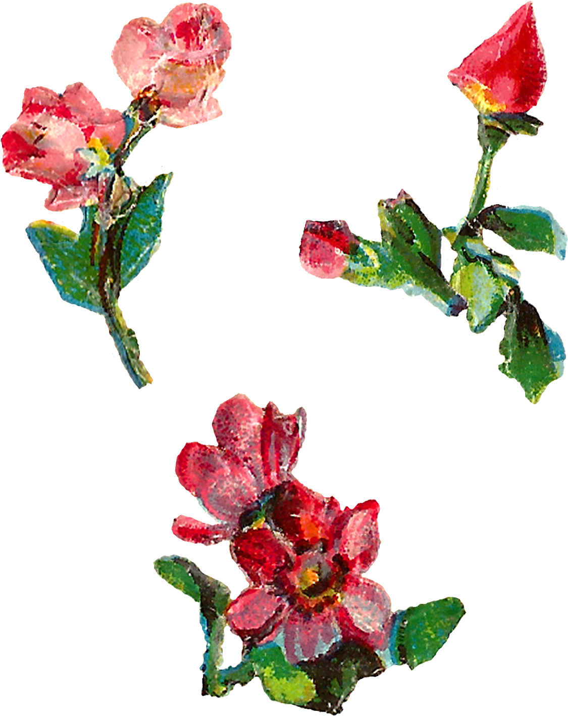 Rose Shabby Chic Collage Sheet Digital Downloadd Clipart - Artificial Flower (1237x1600), Png Download