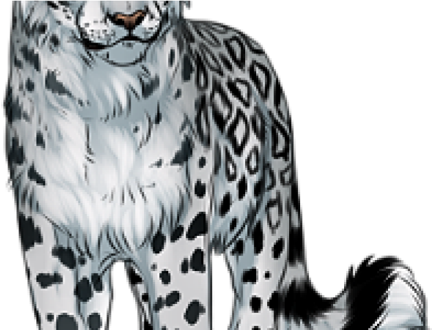 Drawn Snow Leopard Gif Transparent - Snow Leopard Transparent Background (640x480), Png Download