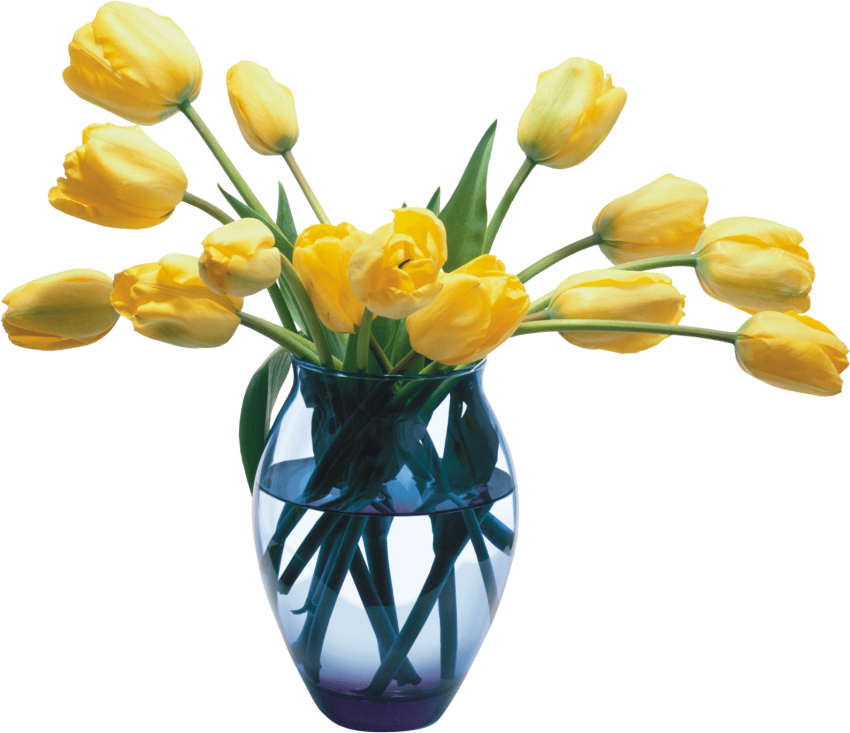 Free Png Download Vase Png Images Background Png Images - Vase Of Flowers Transparent Background (850x733), Png Download