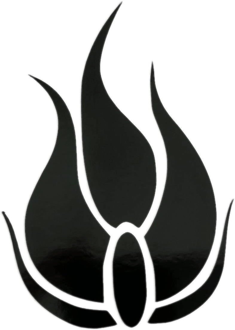 Download - Rwby Symbol (2048x1536), Png Download