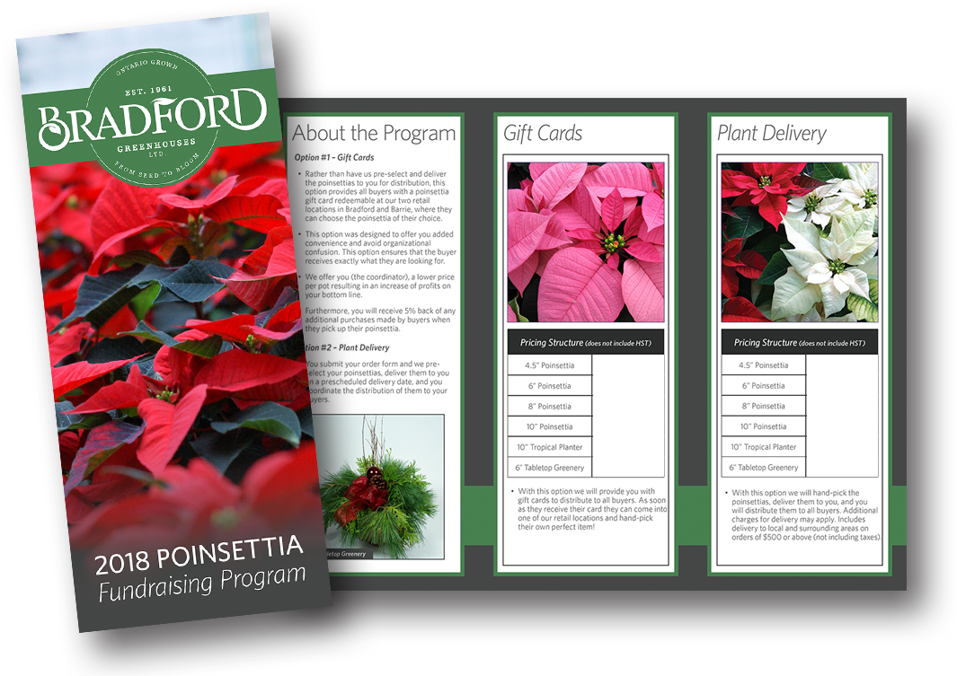 How To Order - Poinsettia (1146x788), Png Download