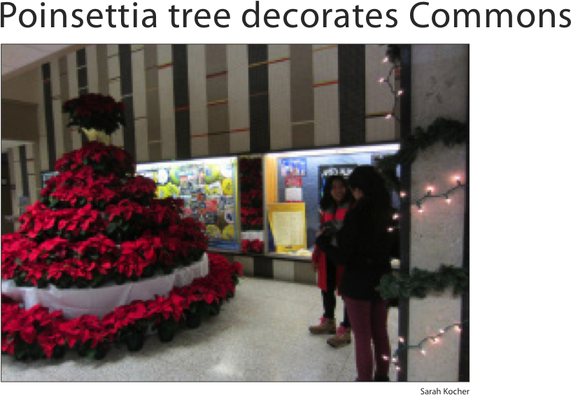 Sarah Kocher - Decoration (900x585), Png Download