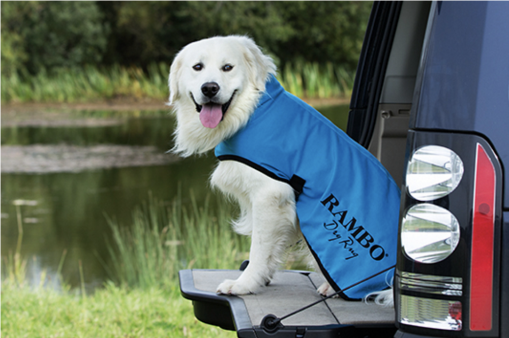 Laster Product Bilde - Rambo Dog Dry Rug (1000x1000), Png Download