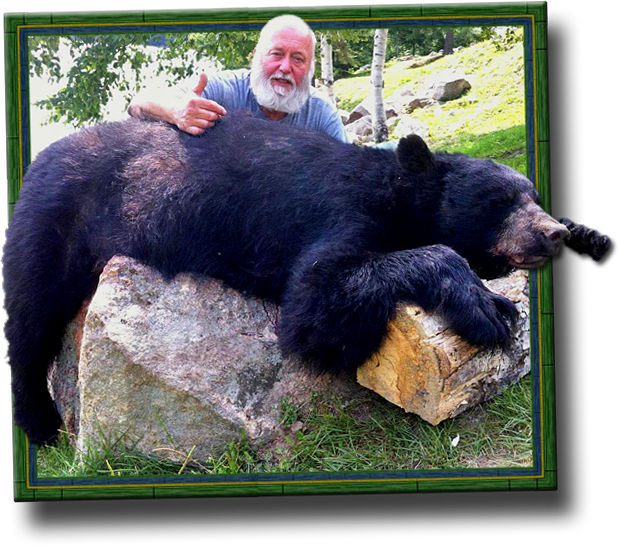 Ontario Black Bear Hunting Bow/archery Crossbow Hunts - Ontario Bear Hunting Regions (619x546), Png Download
