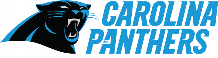 Carolina Panthers Iron On Stickers And Peel-off Decals - Carolina Panthers New (750x930), Png Download