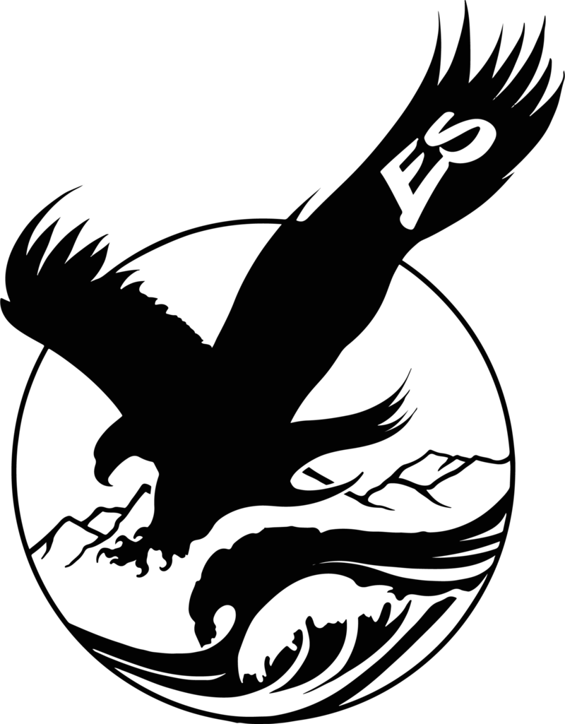 Eagle Villanova Photography Illustration Champions - Illustration (800x1025), Png Download