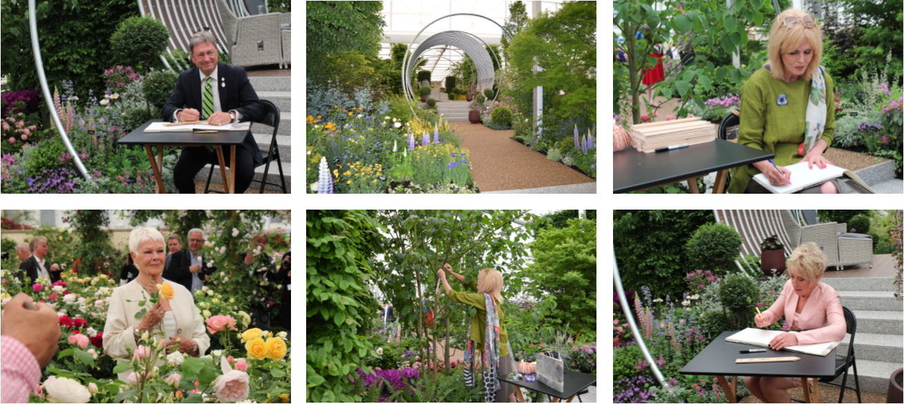 Capture Chelsea - Yard (1311x586), Png Download