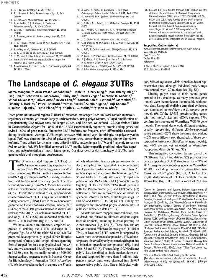 Document (765x974), Png Download