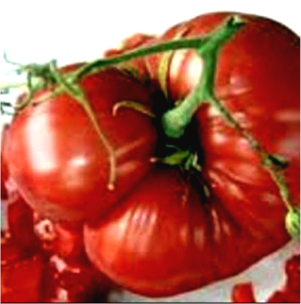Morgtage Lifter Tomato Photo Source - Tomato Mortgage Lifter (621x627), Png Download