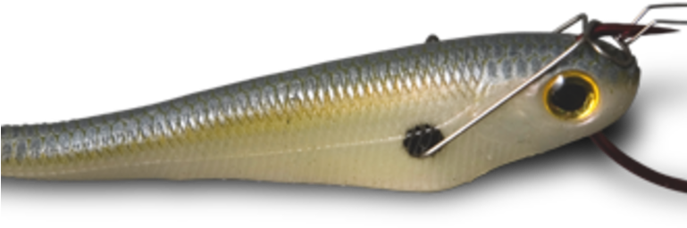 Sand Eel (768x432), Png Download