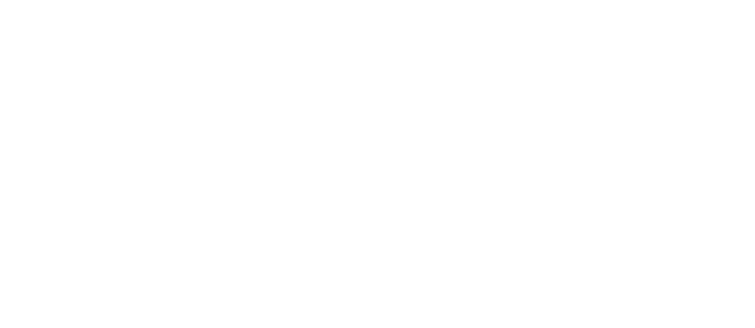 Wild Goose Logo-01 (1000x475), Png Download