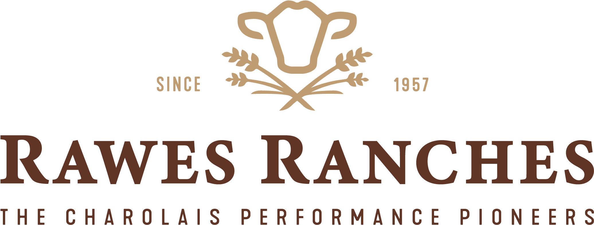 Charolais Bulls - Rawes Ranches - Canada - Annual Bull - Peermont Walmont At The Grand Palm Gaborone Botswana (2071x855), Png Download