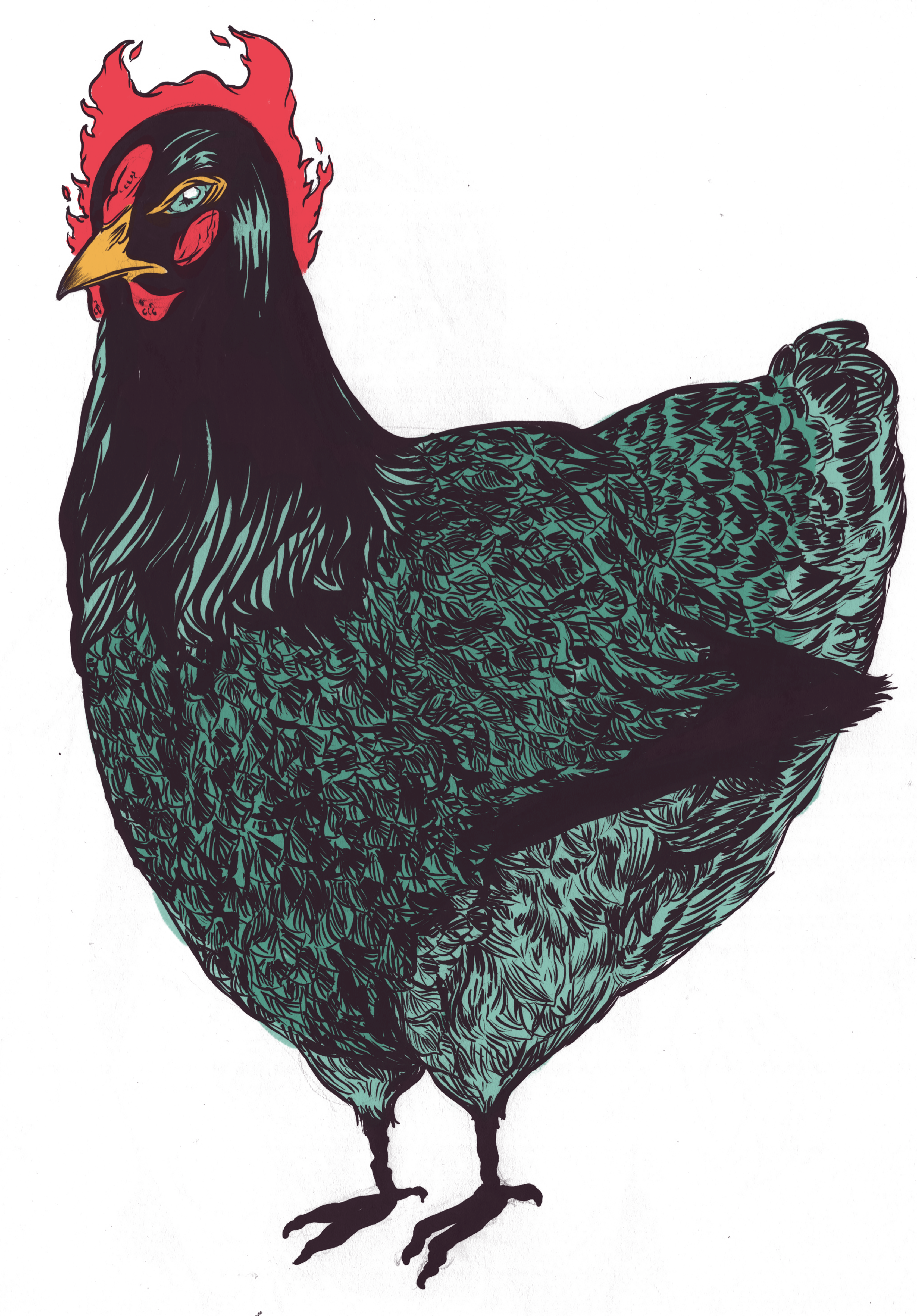 Rooster (3375x4843), Png Download