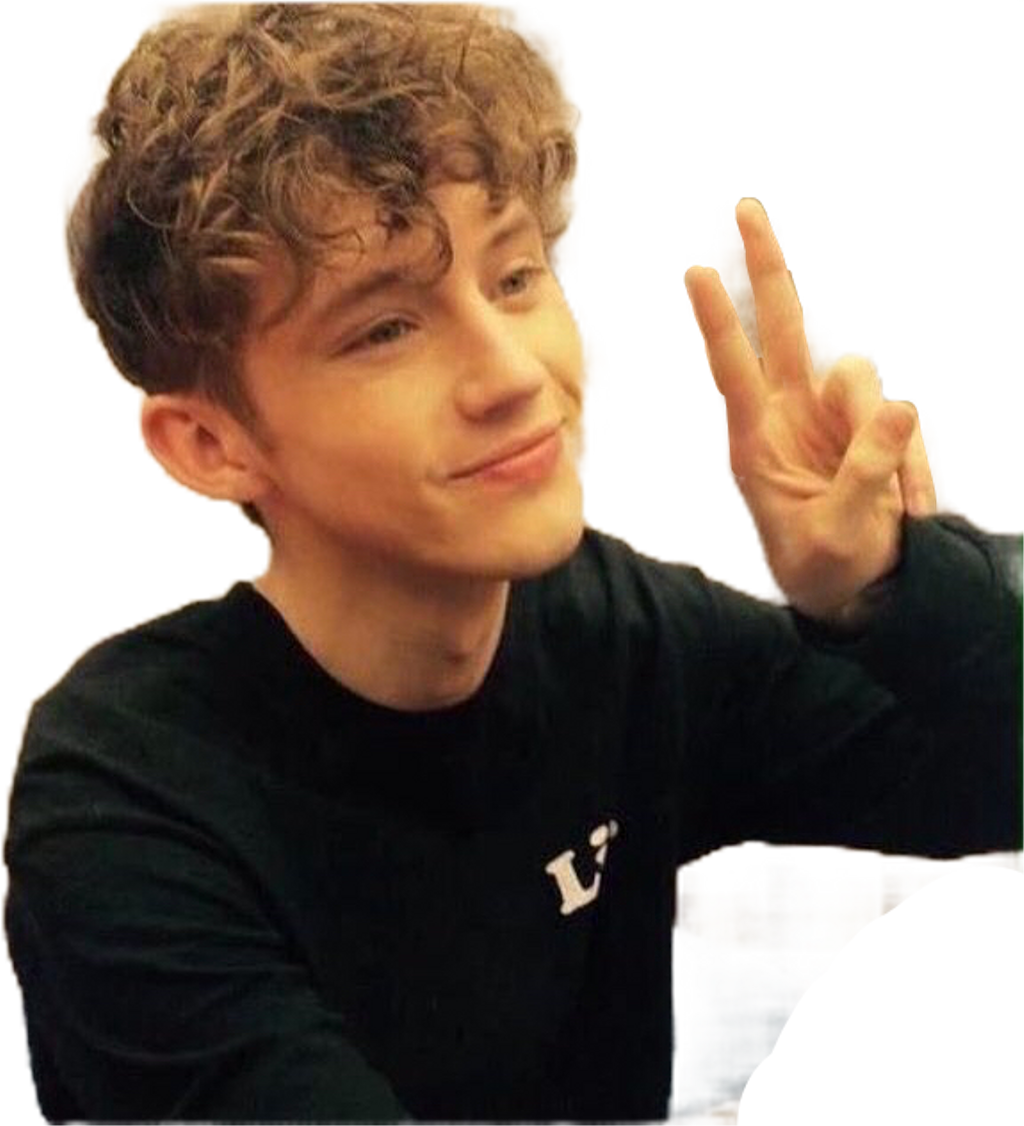 Troye Troye Sivan Troyesivan Troyesivanfreetoedit - Boy (1024x1126), Png Download