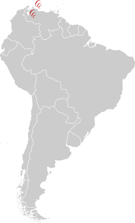 America Del Sud (460x762), Png Download