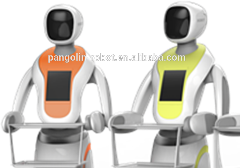 2018 Ces Intelligent Humanoid Ai Robot Waiter With - Robot (1000x875), Png Download