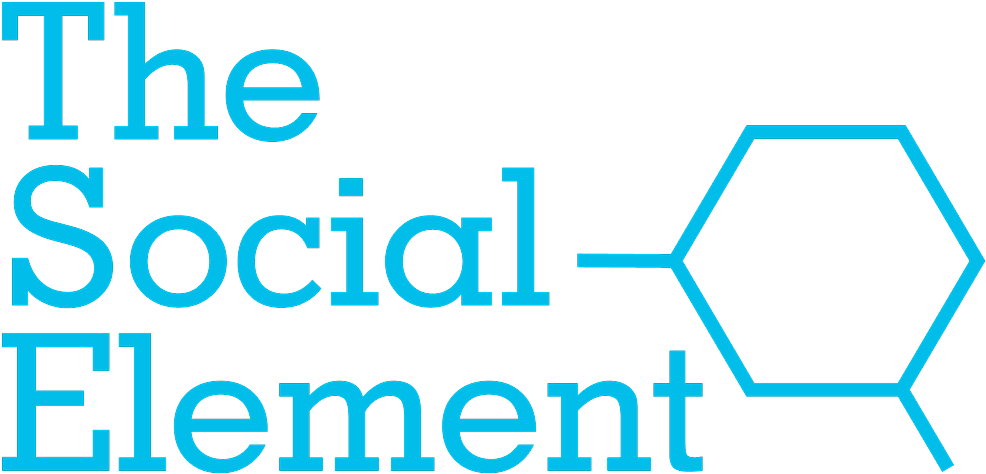 The Social Element - Social Element Logo (1013x500), Png Download
