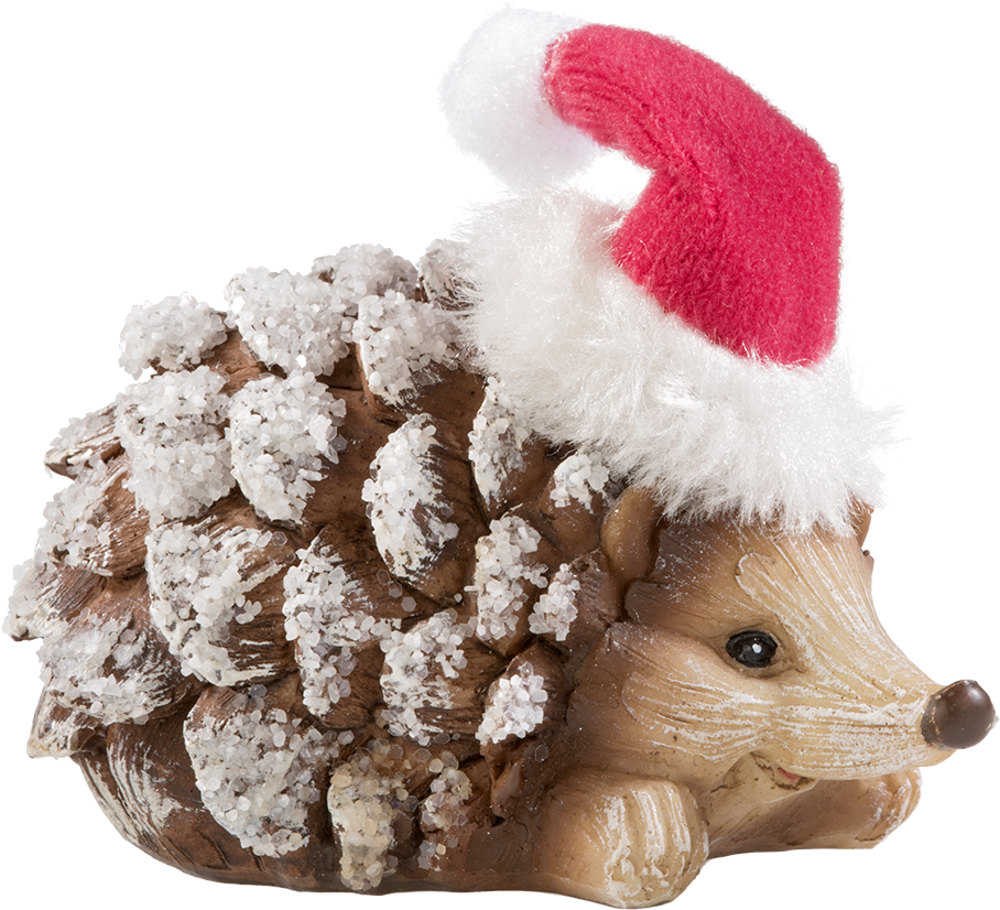 Hedgehog With Cap, Laid - Christmas Hedgehog Png (1000x1000), Png Download