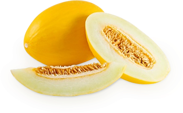 Melon Png Free Download - Melon Canary (600x600), Png Download