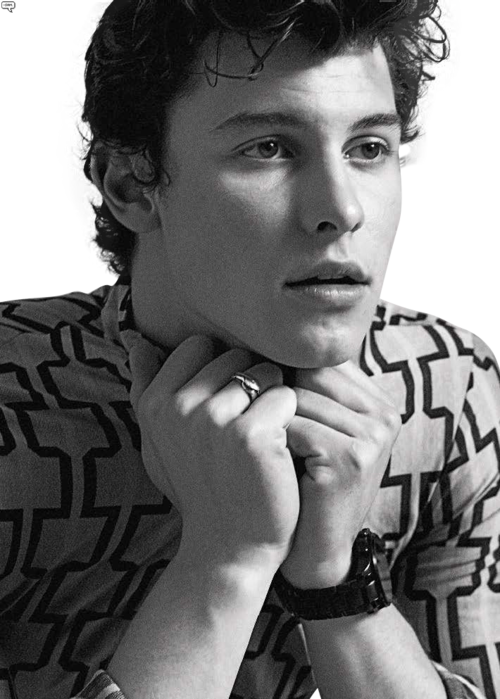 Shawn Mendes Gq Italia (500x699), Png Download