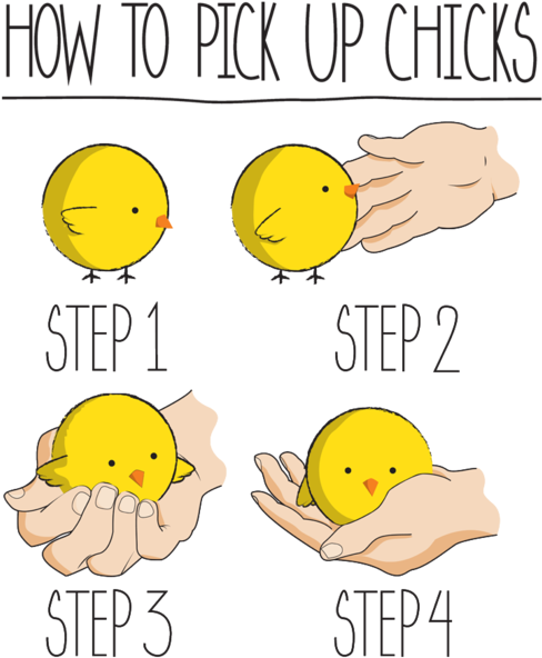 0 Replies 1 Retweet 2 Likes - Pick Up Chicks Funny (630x630), Png Download