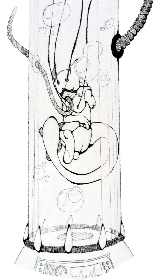 Clip Freeuse Download Test Tube Drawing At Getdrawings - Test Tube Baby Drawing (688x1161), Png Download