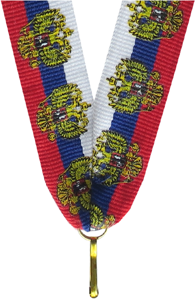 Embroidery (570x630), Png Download