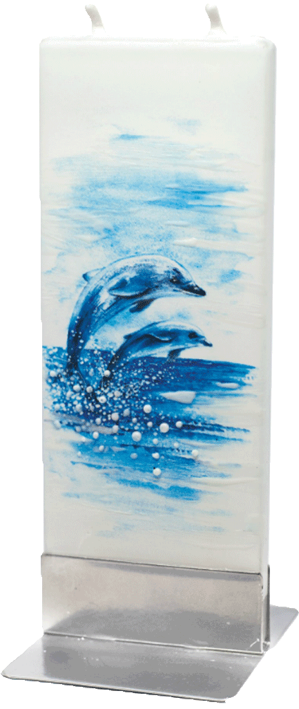 Common Bottlenose Dolphin (1024x1024), Png Download