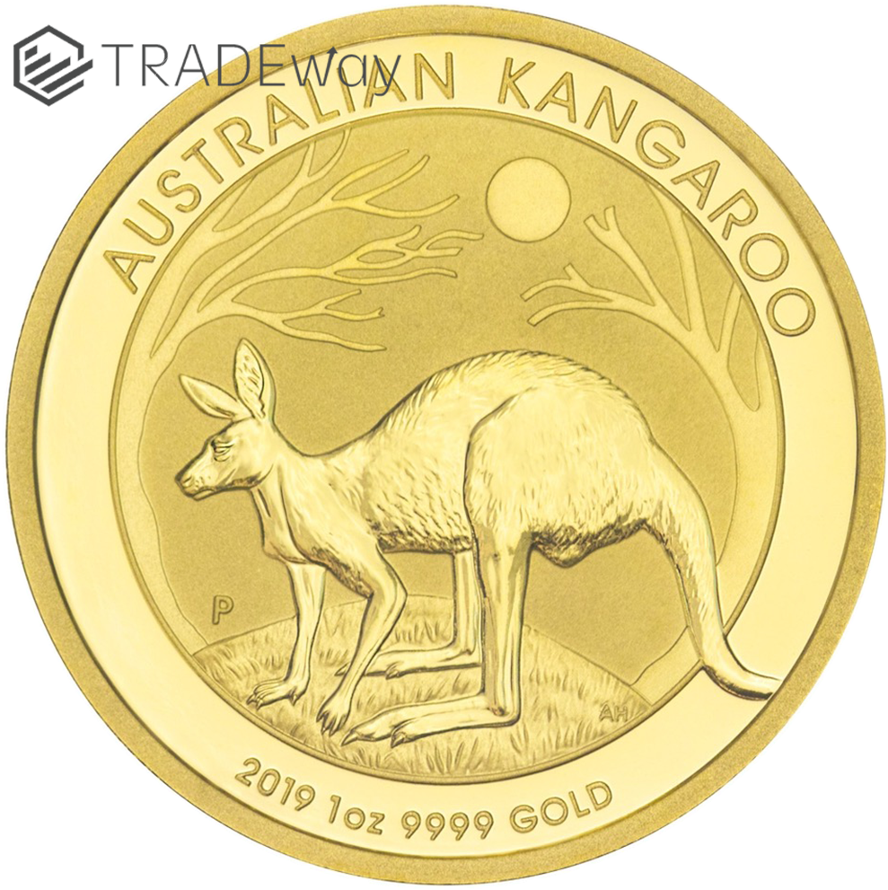 Tw 2019 Gold Australian Kangaroo Reverse - Skills (1000x1000), Png Download