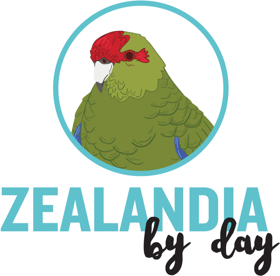 Check Out Our Fantastic Deals And Special Offers Below - Parakeet (1000x1000), Png Download