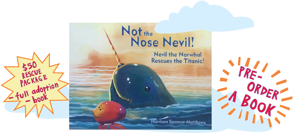 Adoption Narwhals - Whale (1003x476), Png Download