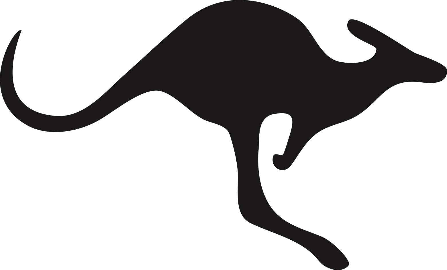 캥거루 Png 무료다운로드 Free Kangaroo Png (1560x944), Png Download