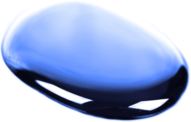 Agua - Whale (1100x467), Png Download