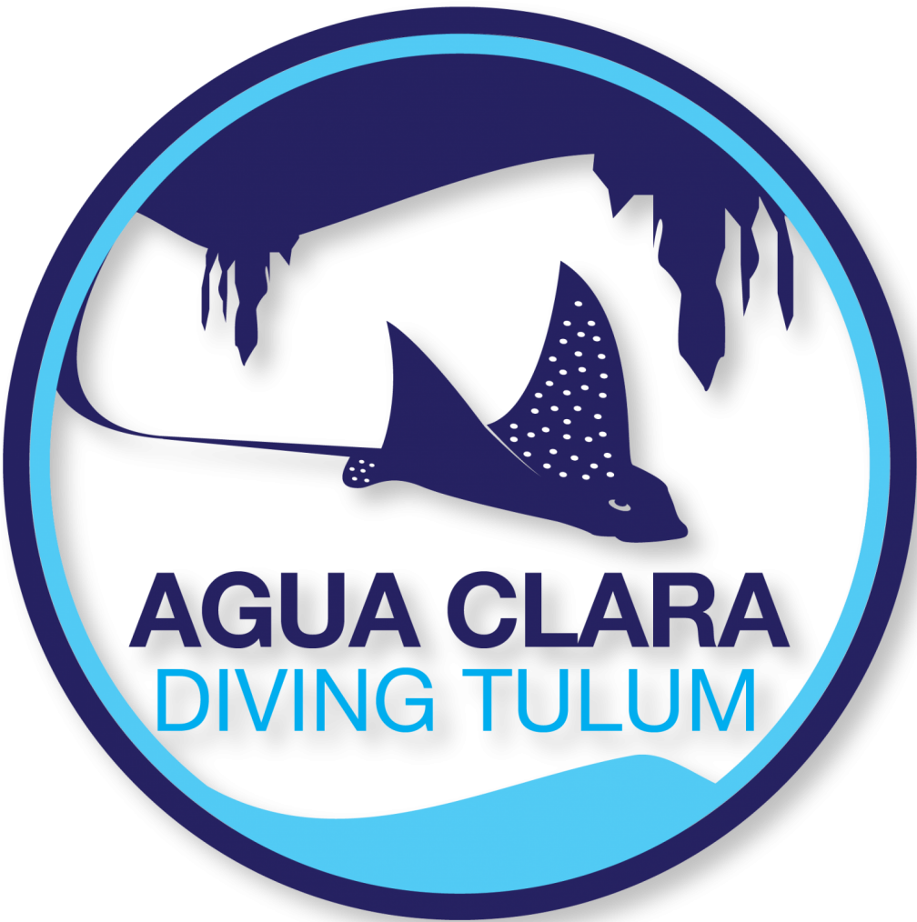 Cropped Logo Agua Clara Good - Emblem (1007x1024), Png Download