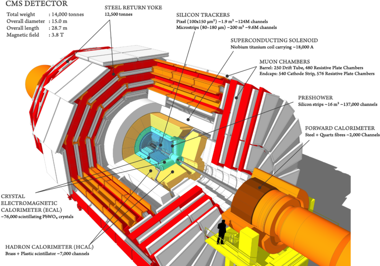 Png, Cms 160312 06 Thumb - Main Component Of Cms Detector (800x565), Png Download