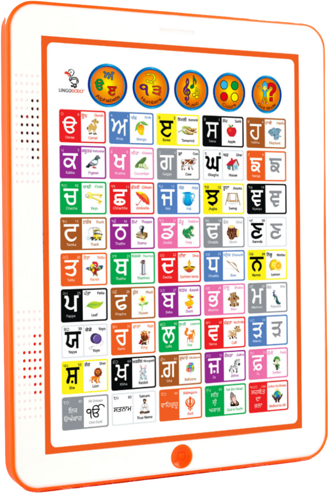 Lingododo - Punjabi Learning Toys (691x1023), Png Download