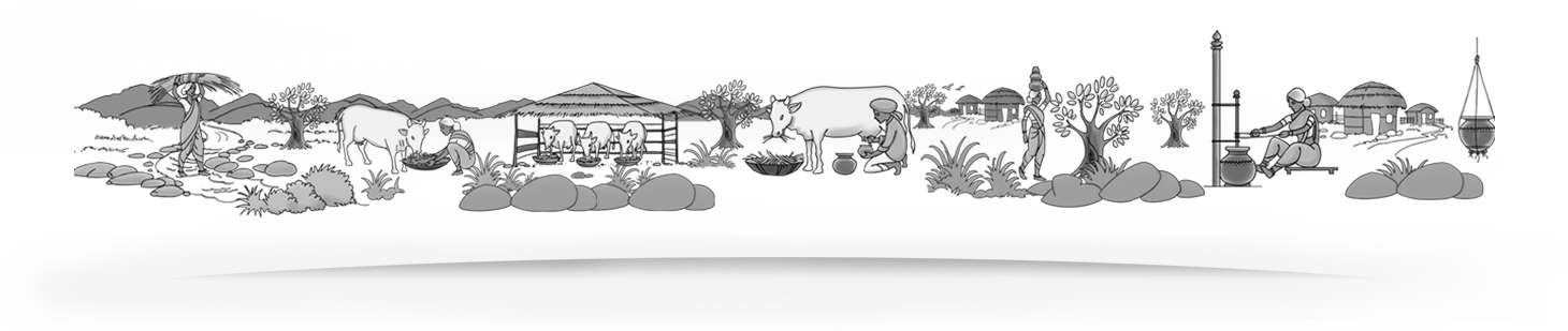 Aashirvaad Svasti Ghee Story - Ghee Making Vector (1460x309), Png Download