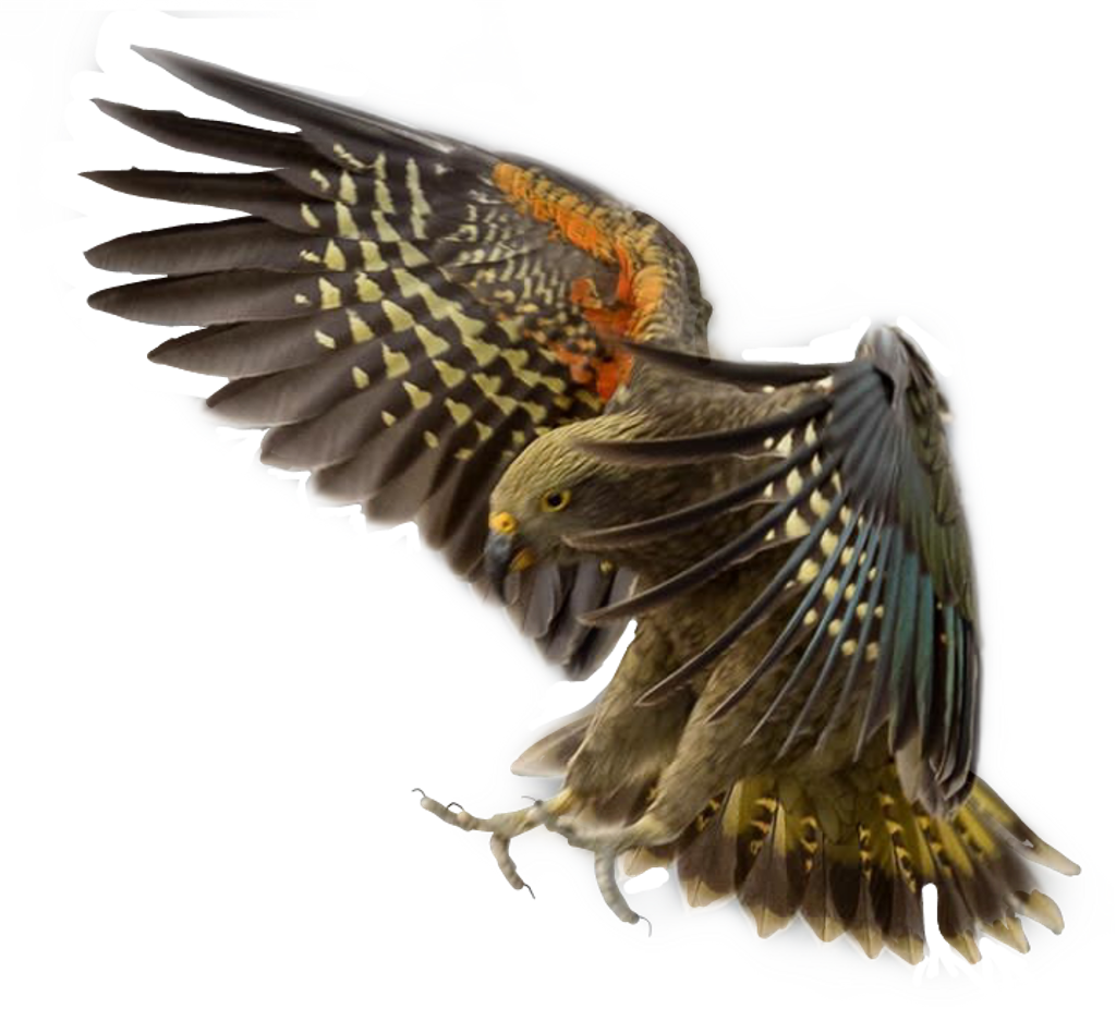 Eagle Sticker - Red Winged Blackbird (1024x926), Png Download