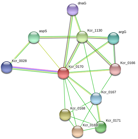 Circle (975x516), Png Download