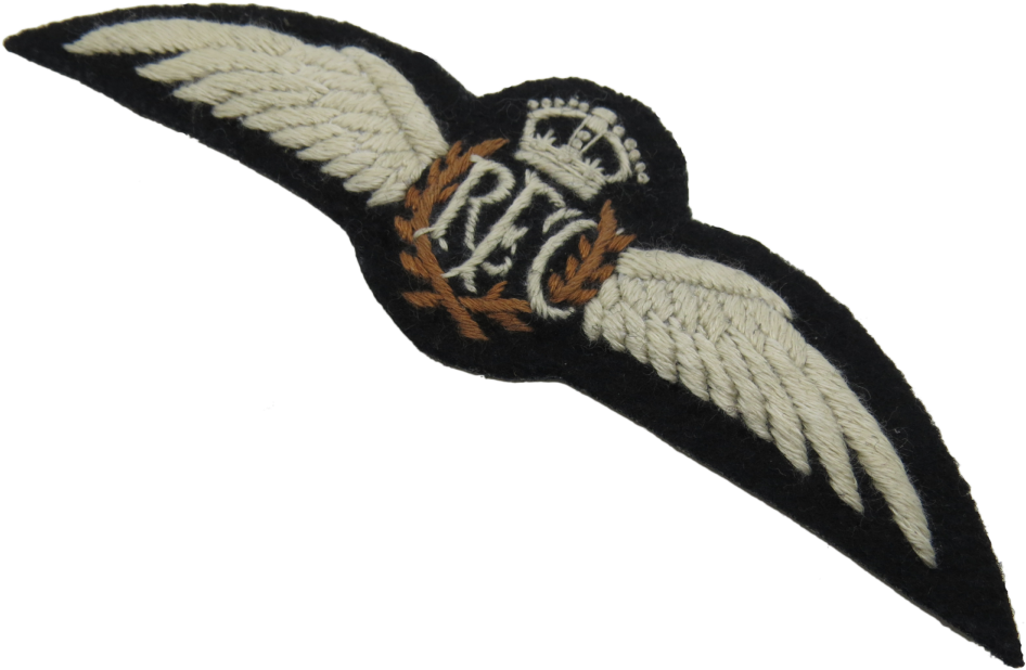 Eagle (1200x799), Png Download