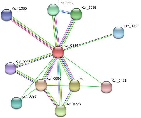 Circle (975x445), Png Download
