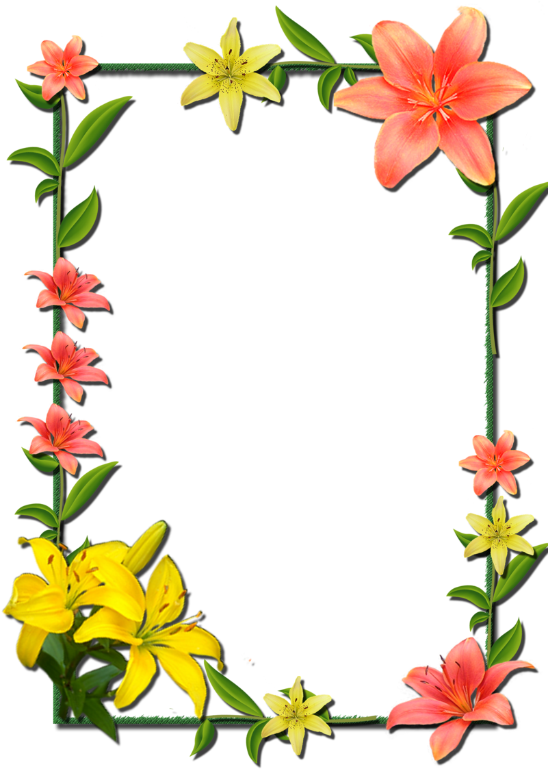 And Picture Flower Frame Frames Borders - Flower Photo Frame Design (800x1132), Png Download