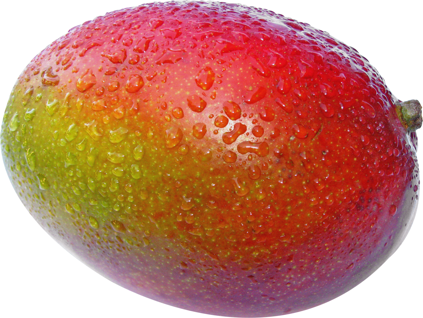 Mango Images, Clip Art, Illustrations, Pictures - Mango Fruit (1400x1052), Png Download