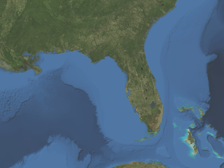 Satellite Map Of Florida Printable Maps - Gambaran