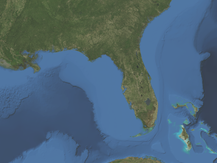 Satellite Map Of Florida Download Satellite Map Of Florida Png Image With No Background - Pngkey.com
