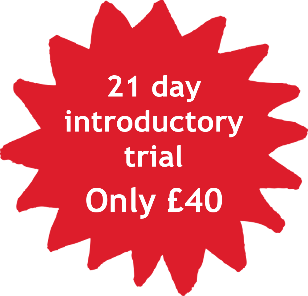 21 Day Introductory Trial - Illustration (1000x963), Png Download