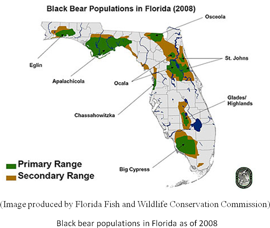 Before Florida Was Settled By Europeans In The 1500 - Black Bears In Florida Map (902x740), Png Download