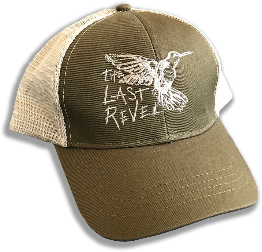 Tlr Hummingbird Hat (900x900), Png Download