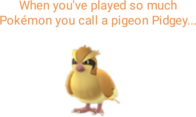Look At Me Judgingly - Pokemon Go Pidgey (720x720), Png Download